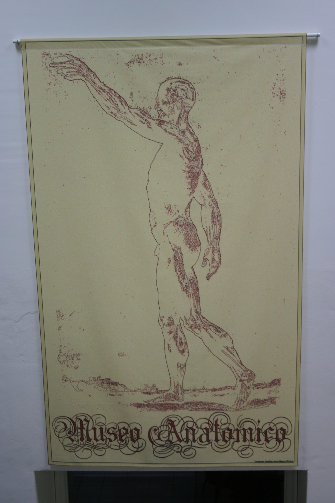 Museo%20Anatomico%2C%20Siena%2C%20Italy%20-%2001.JPG